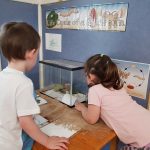 Silkworm Activity at Wallsend Community Preschool